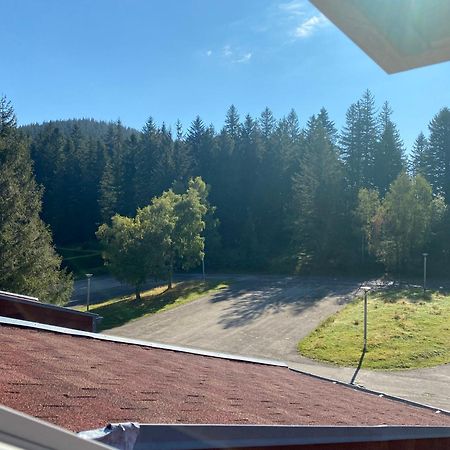 Apartament Au P'Tit Nid Douillet De Lea Muhlbach-sur-Munster Zewnętrze zdjęcie