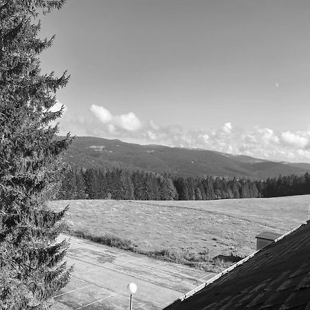Apartament Au P'Tit Nid Douillet De Lea Muhlbach-sur-Munster Zewnętrze zdjęcie