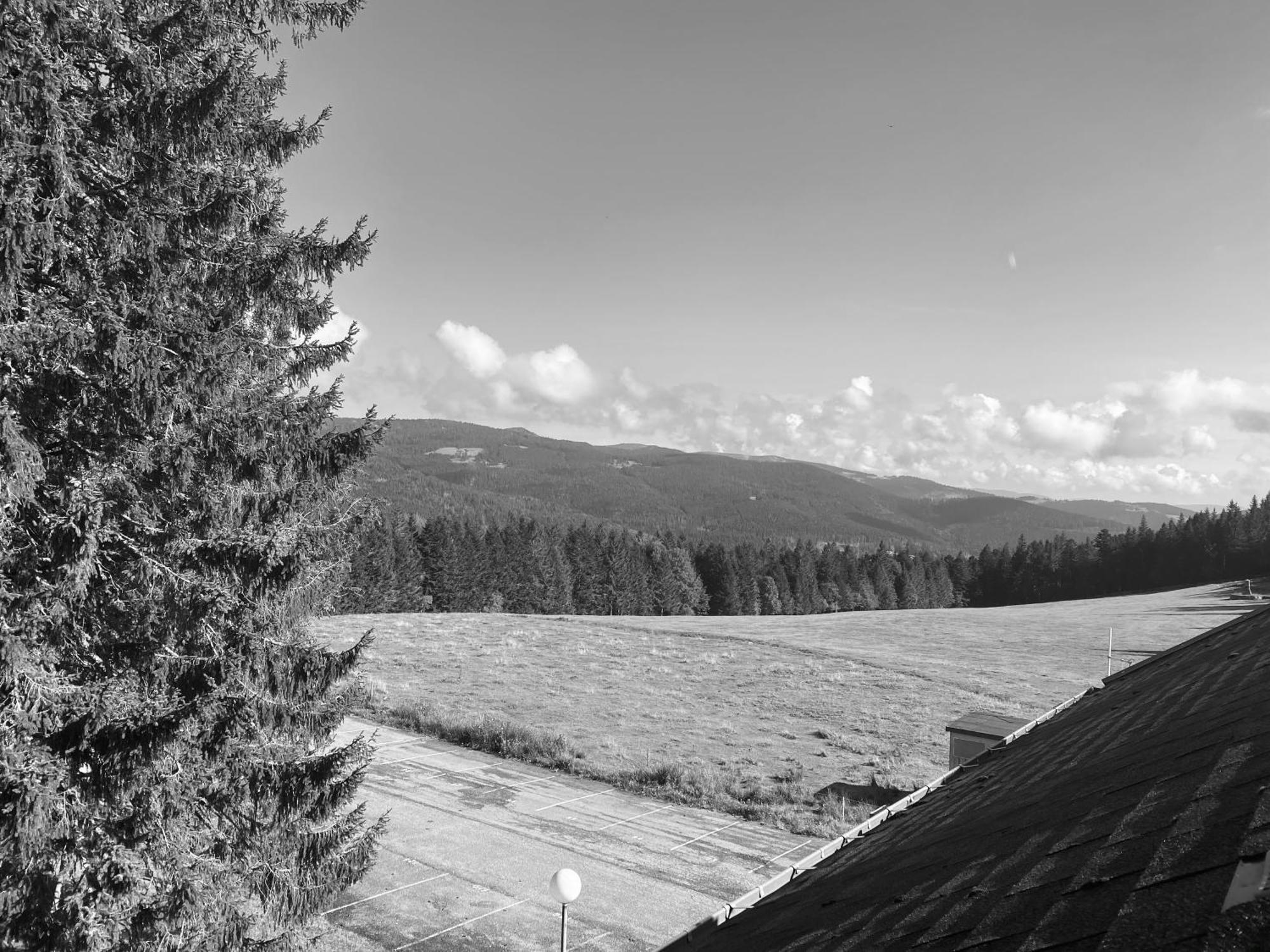Apartament Au P'Tit Nid Douillet De Lea Muhlbach-sur-Munster Zewnętrze zdjęcie